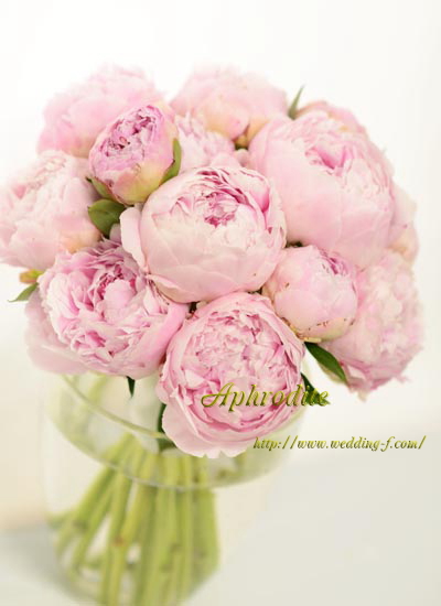 芍薬のクラッチブーケ 極淡ピンク 素敵な花嫁に贈る 賢いweddingブーケの選び方